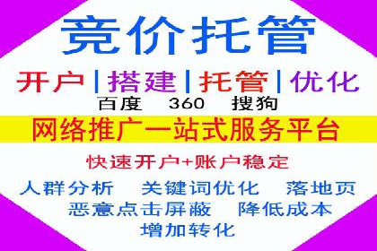SEM服务托管实战案例分析报告