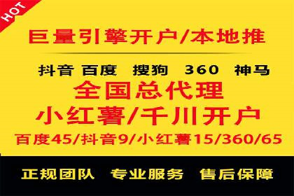 百度竞价广告的投放策略与成功案例分析